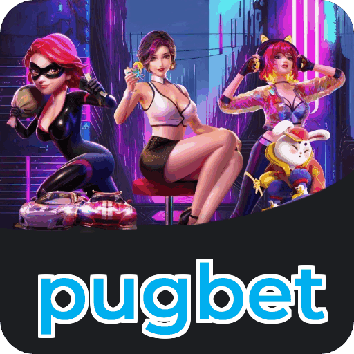 Verificação KYC pugbet